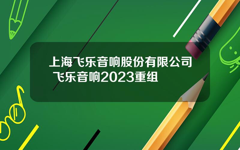 上海飞乐音响股份有限公司 飞乐音响2023重组